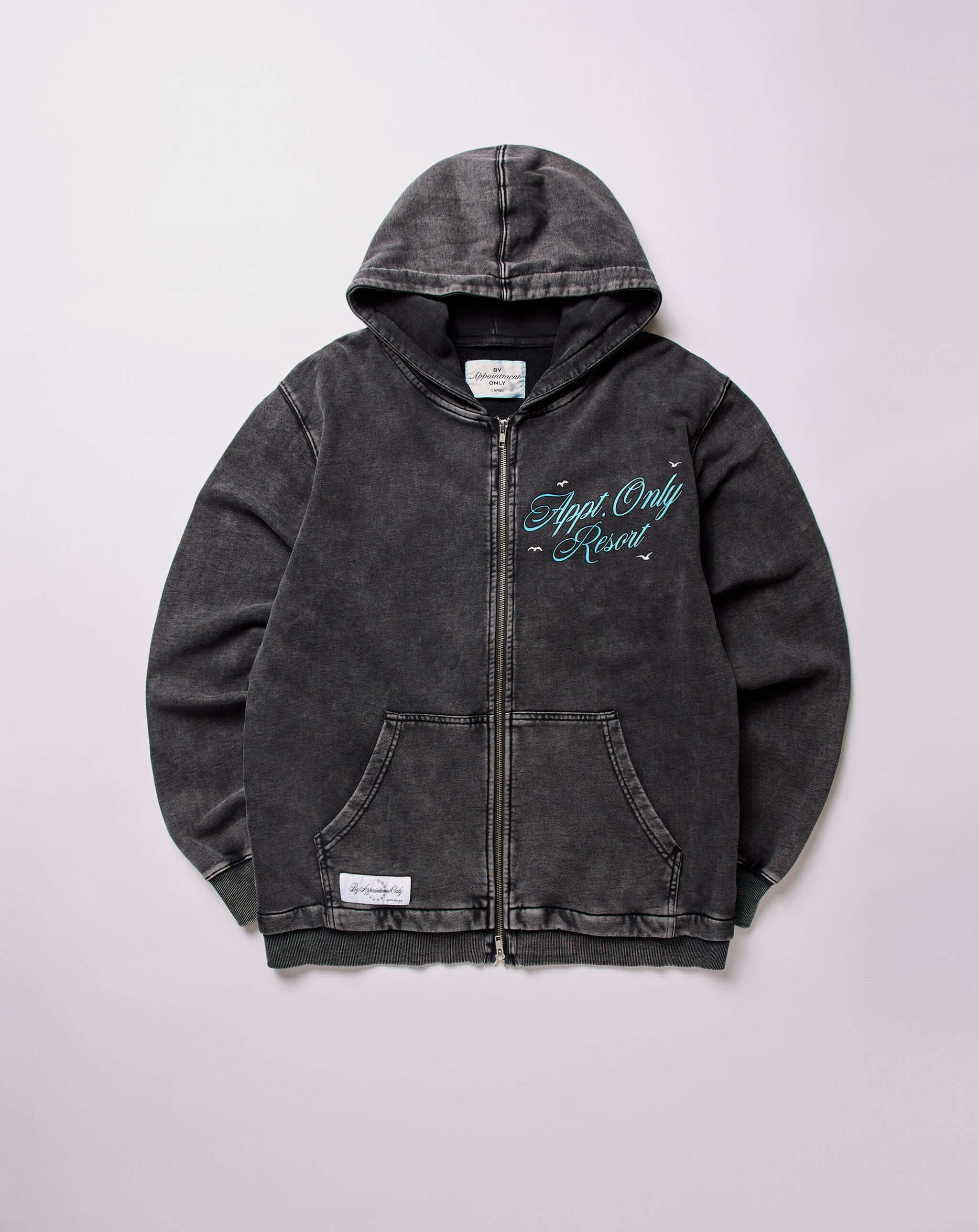 By Appointment Only - Appt Resort Zip Hoodie - Washed Black