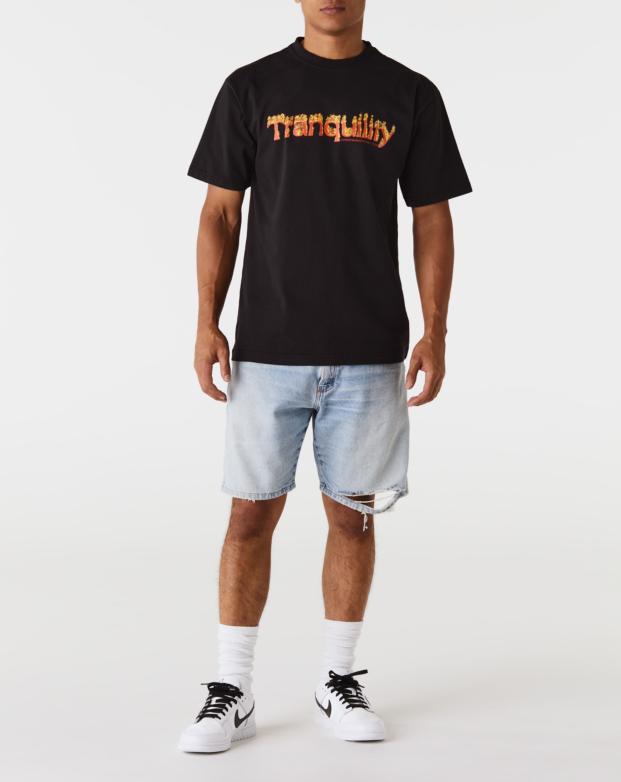 Market Tranquility T-Shirt - Rule of Next Apparel