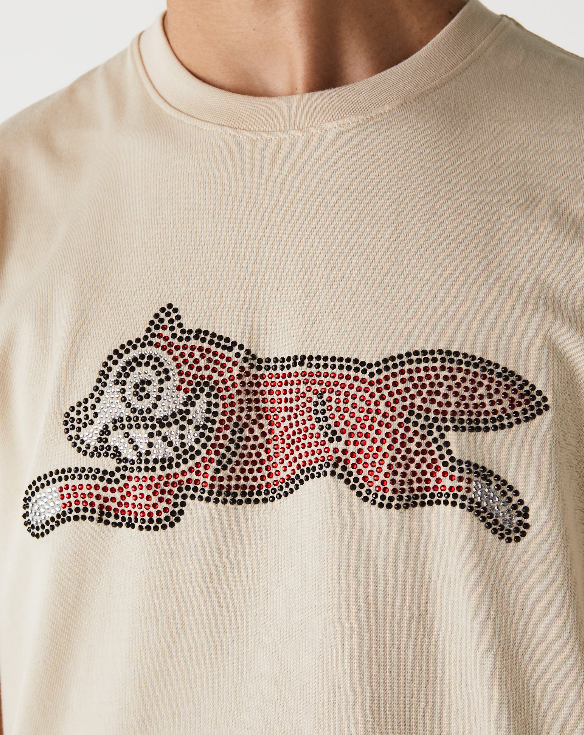 IceCream Glacier T-Shirt - Rule of Next Apparel