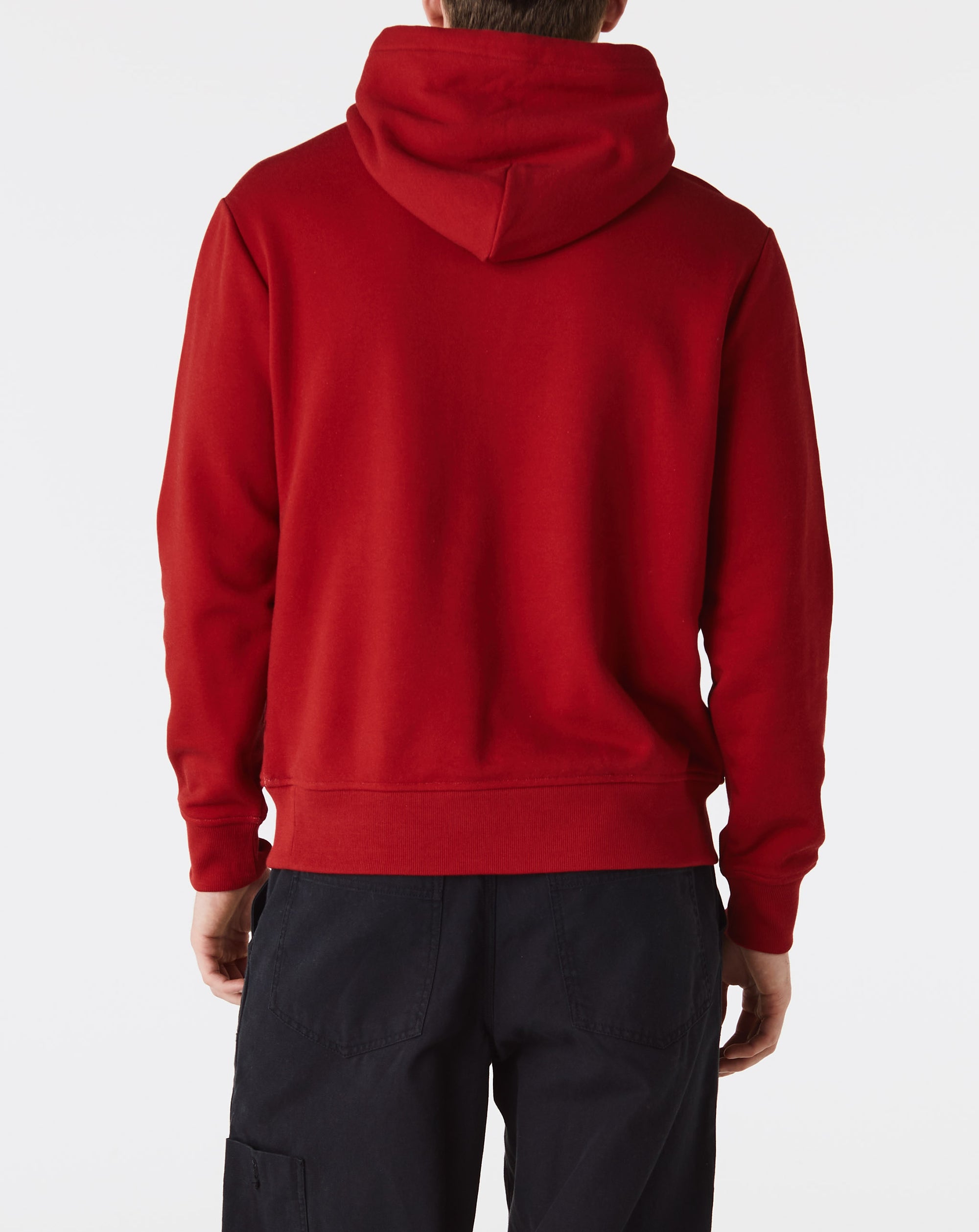 Polo Ralph Lauren Down Field Equestrian Hoodie - Rule of Next Apparel