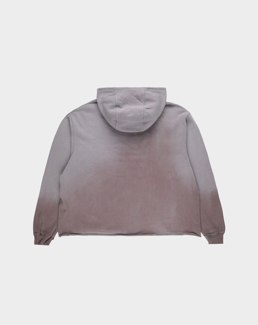 Jordan Craig Washed Crop Hoodie - Rule of Next Apparel