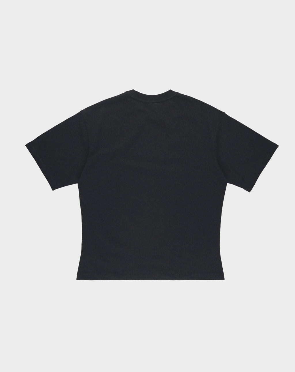 Jordan Craig Crop T-Shirt Blank - Rule of Next Apparel