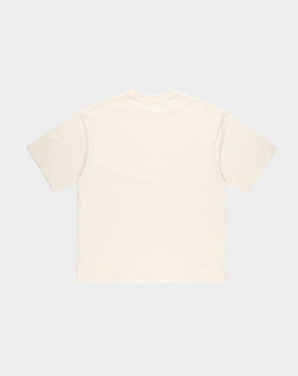 Jordan Craig Crop T-Shirt Blank - Rule of Next Apparel