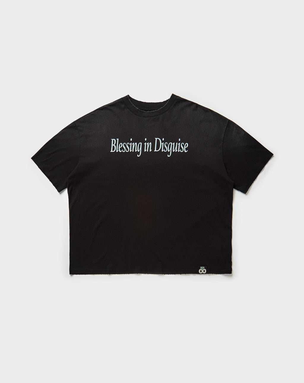Blessing In Disguise T-Shirt