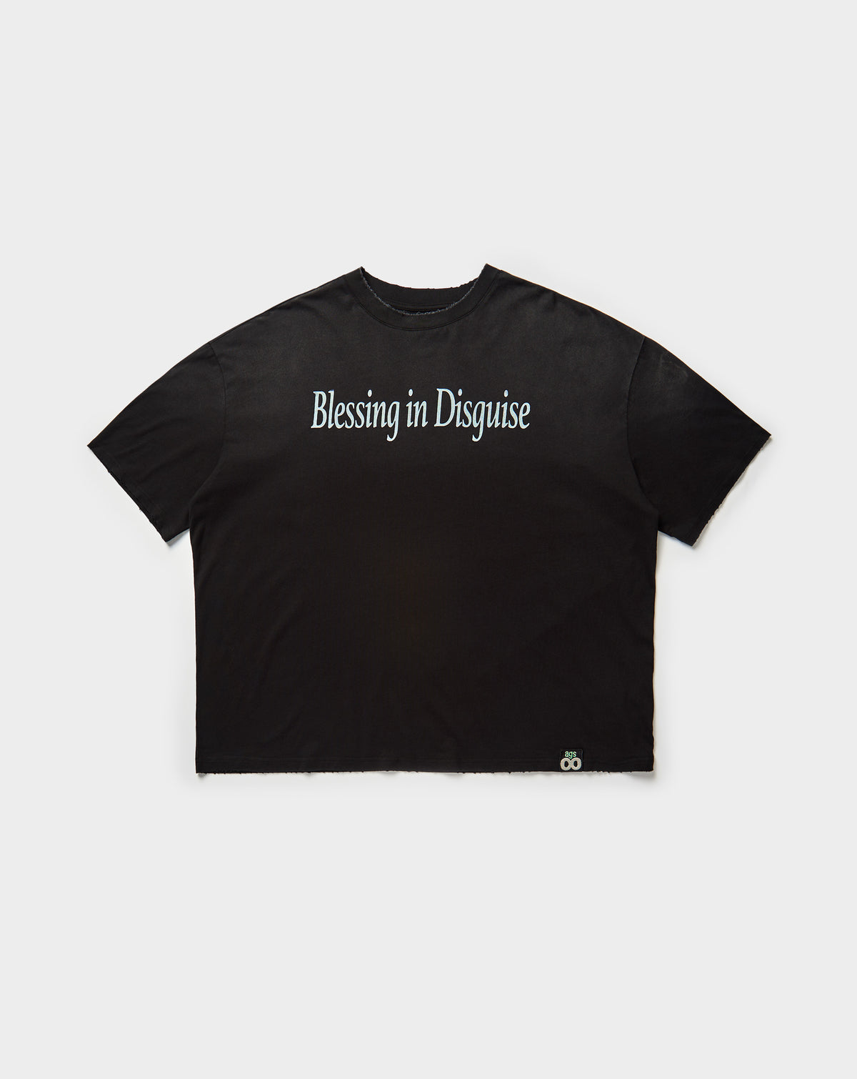 Blessing In Disguise T-Shirt