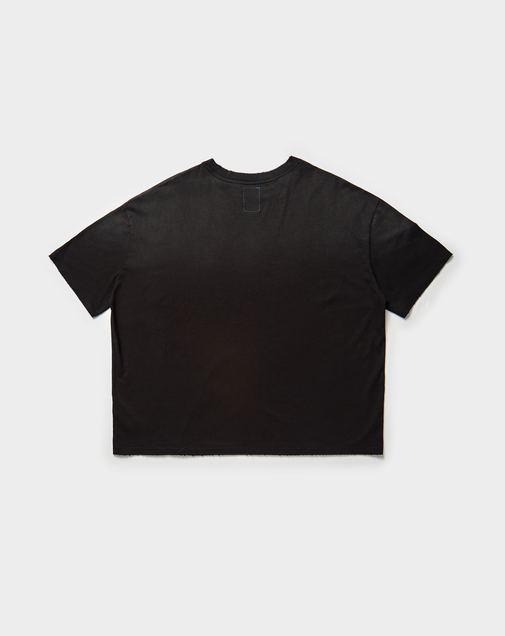 Blessing In Disguise T-Shirt