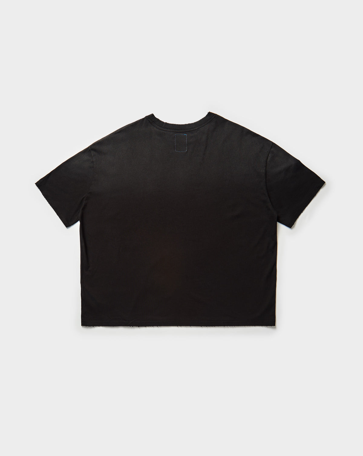 Blessing In Disguise T-Shirt