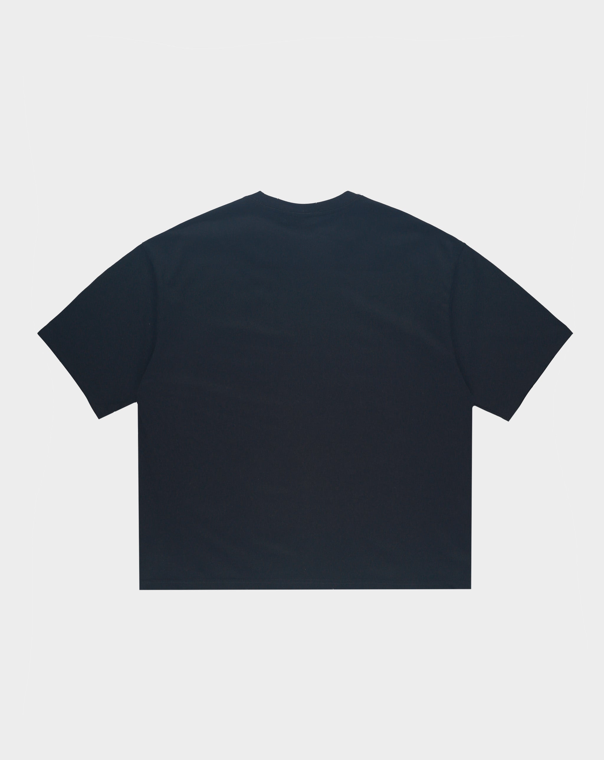 Needlework Divine Faith T-Shirt - Rule of Next Apparel