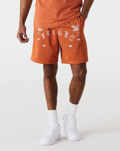 Air Jordan Flight Artist Series Mesh Shorts - Rule of Next Apparel