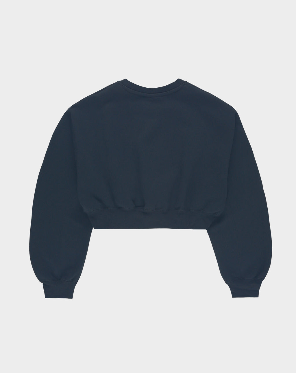 Air Jordan Women's Flight Cropped Crewneck - Rule of Next Apparel