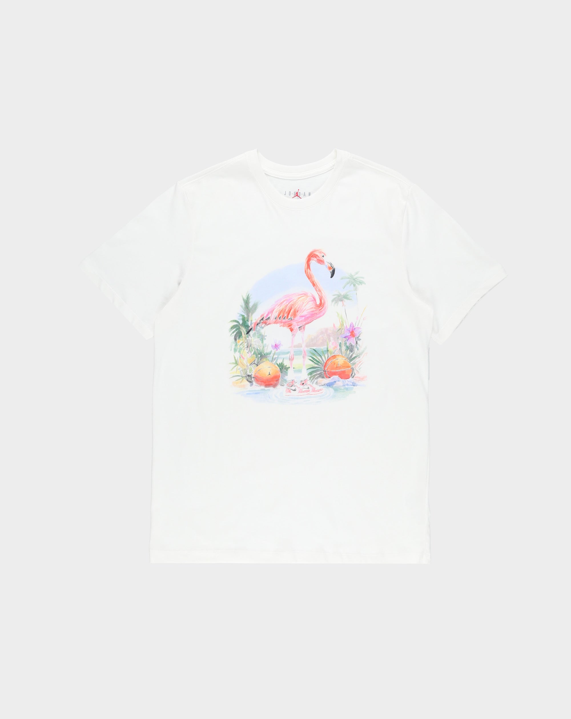 Air Jordan Flight Essentials T-Shirt - Rule of Next Apparel