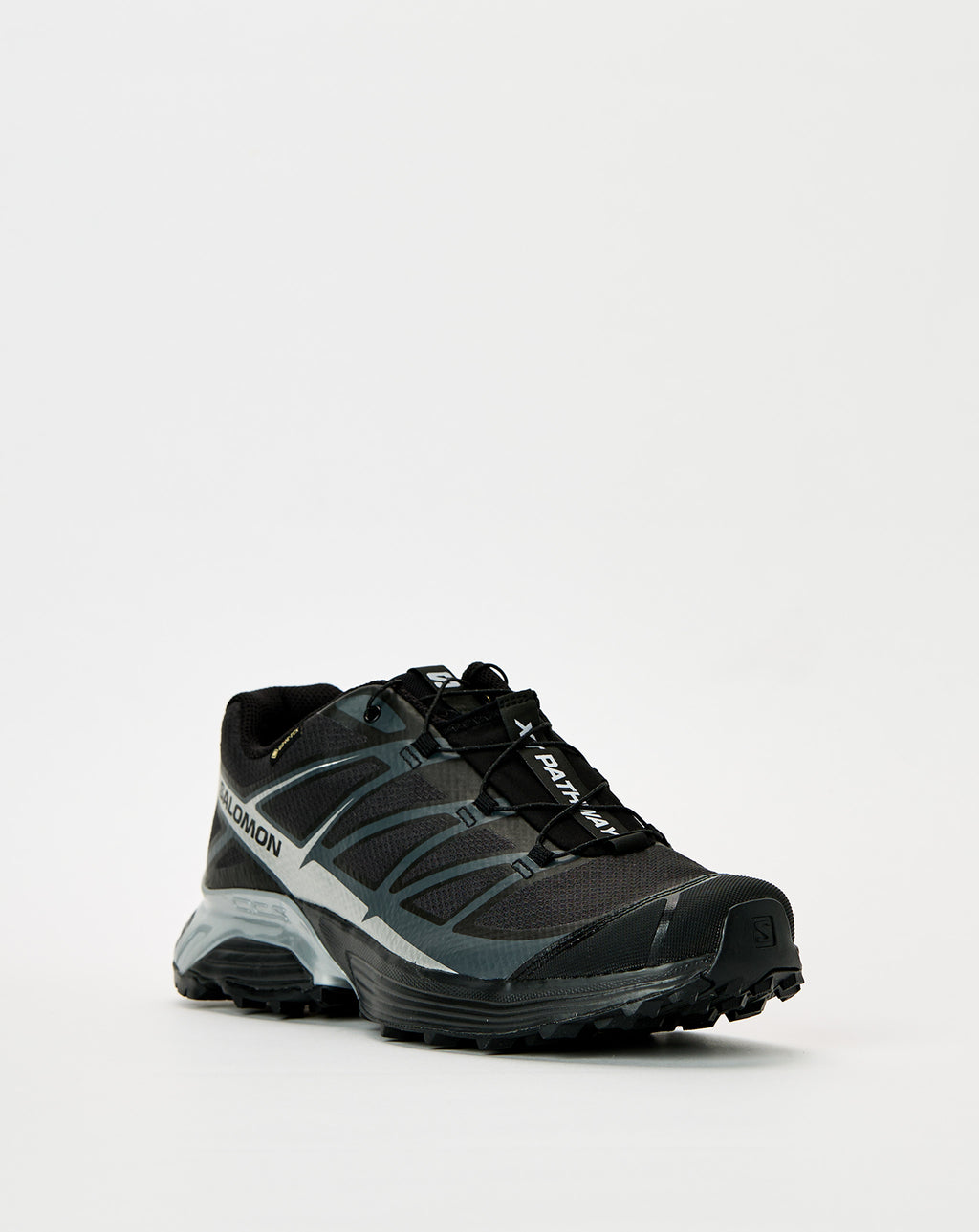 XT-Pathway GTX