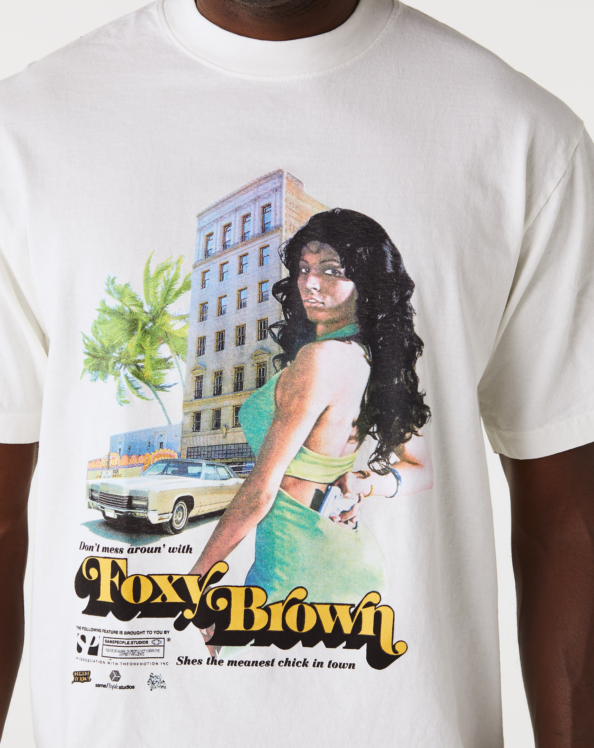 Little Africa Foxy Brown T-Shirt - Rule of Next Apparel