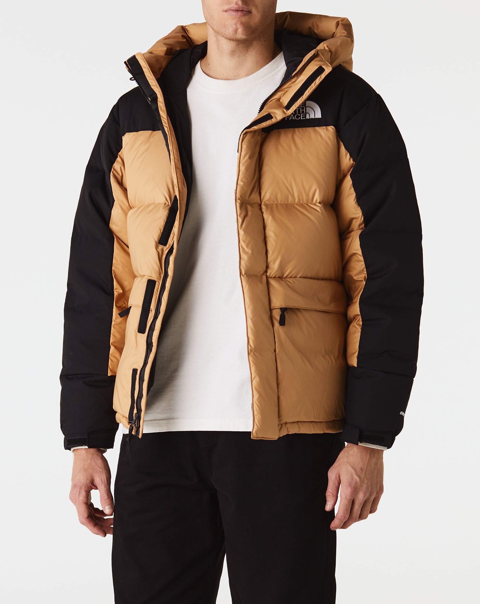 The North Face Hmlyn Down Parka - Rule of Next Apparel