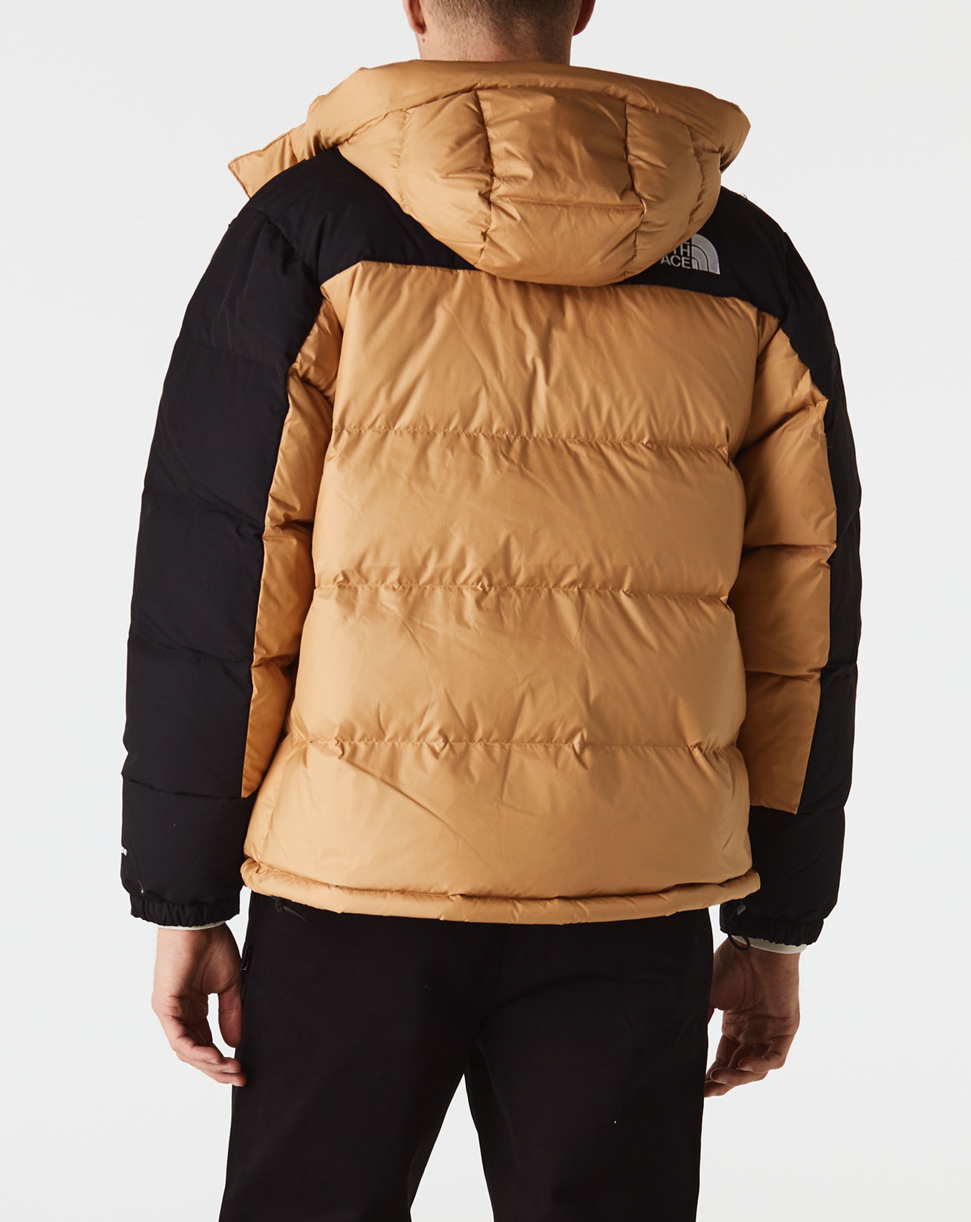 The North Face Hmlyn Down Parka - Rule of Next Apparel