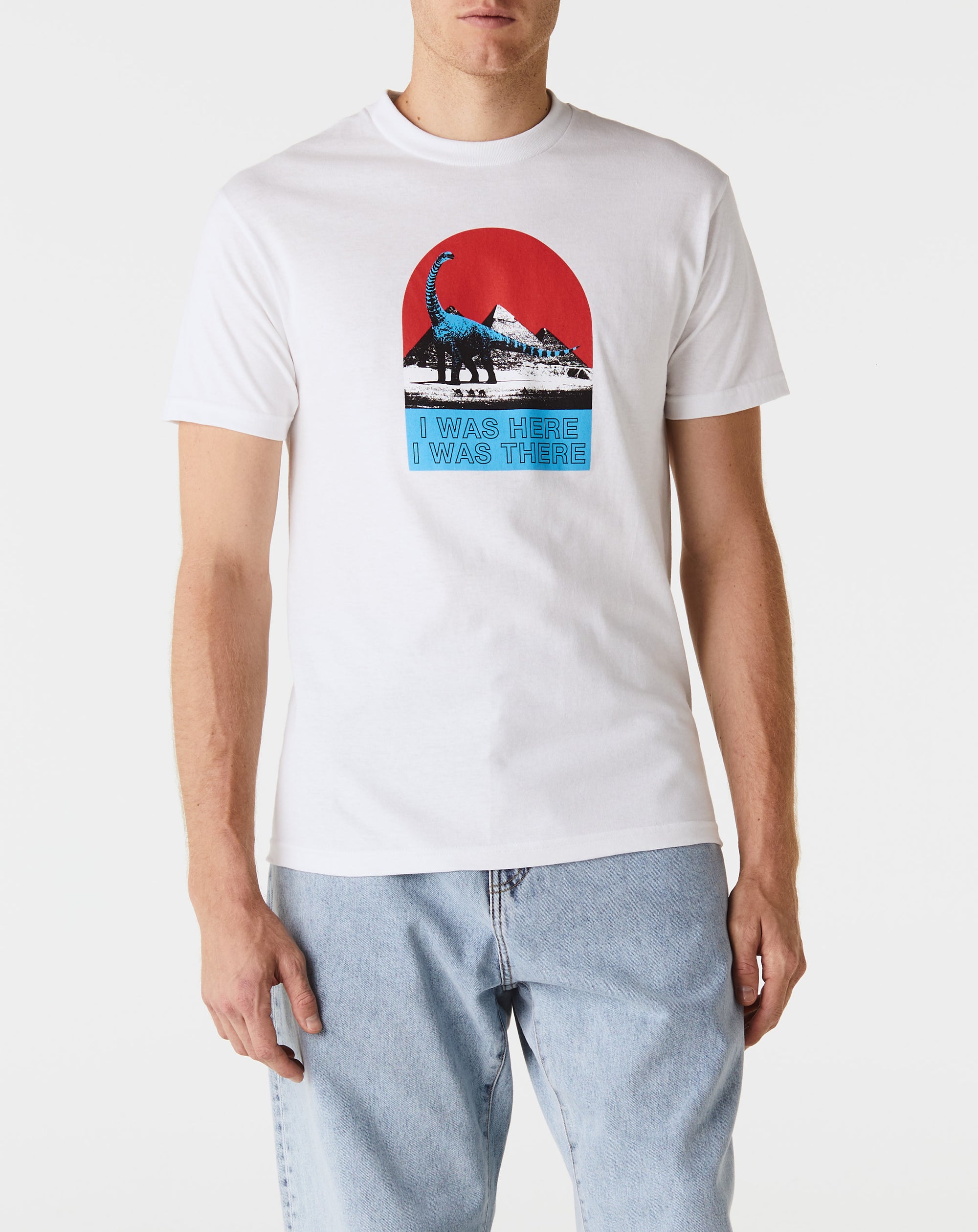 Pleasures Tourist T-Shirt - Rule of Next Apparel