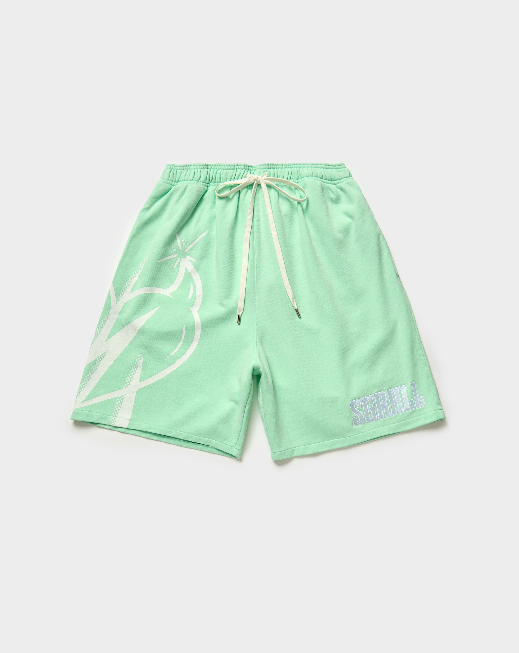 “Aspire” Terry Shorts