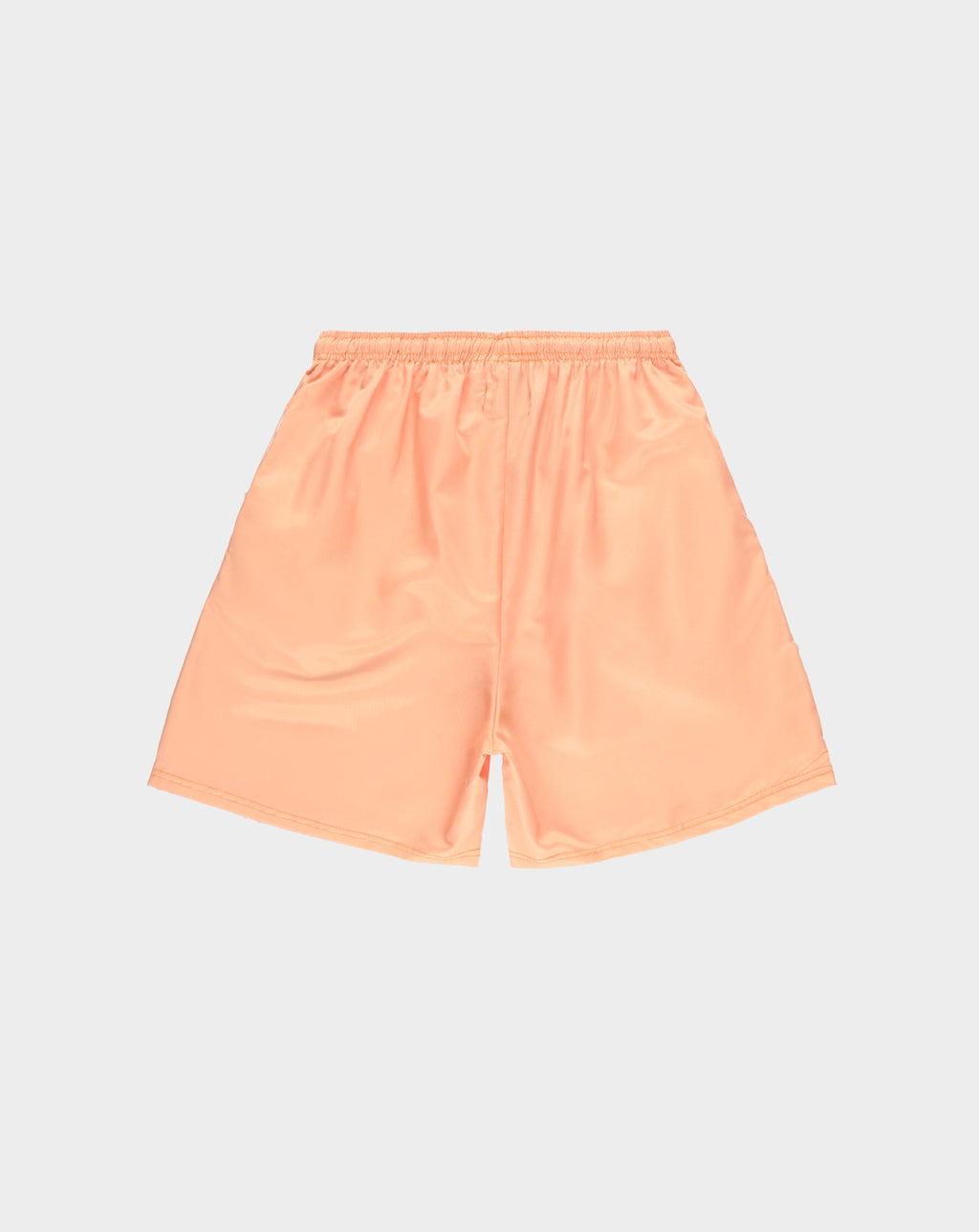 PRVT LBL Nylon Small Logo Short - Rule of Next Apparel