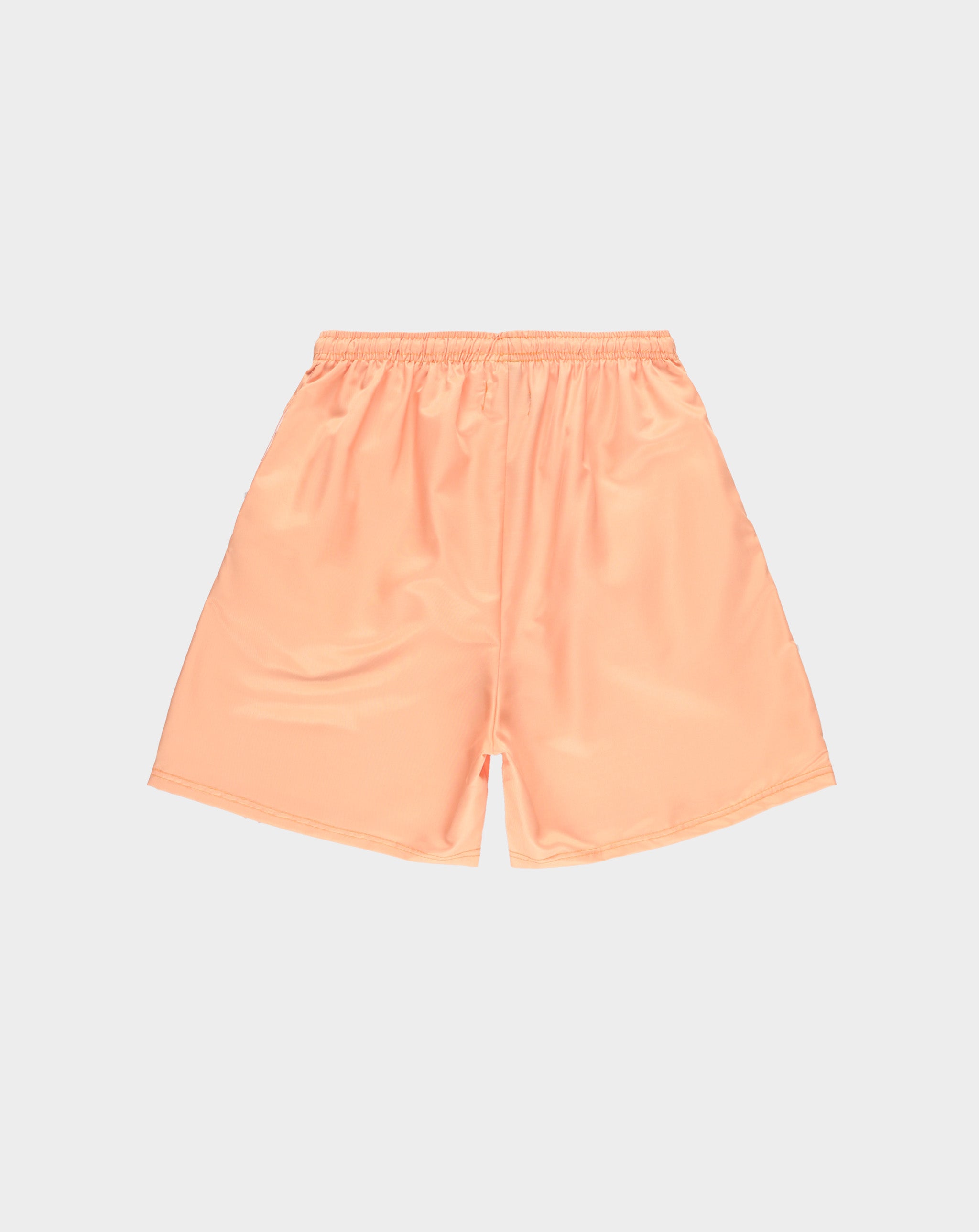 PRVT LBL Nylon Small Logo Short - Rule of Next Apparel
