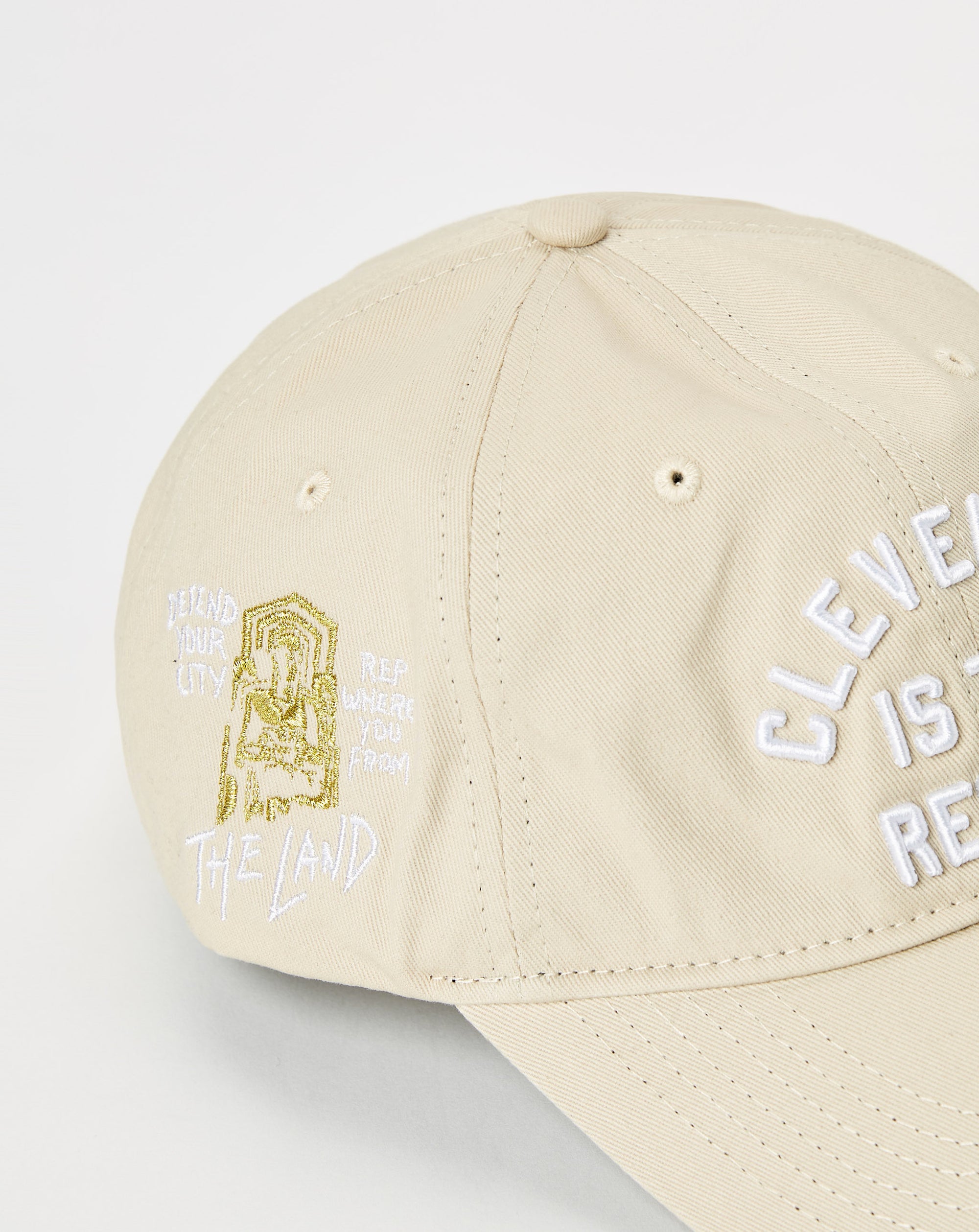 ilthy Cleveland is the Reason Dad Cap - Rule of Next Accessories