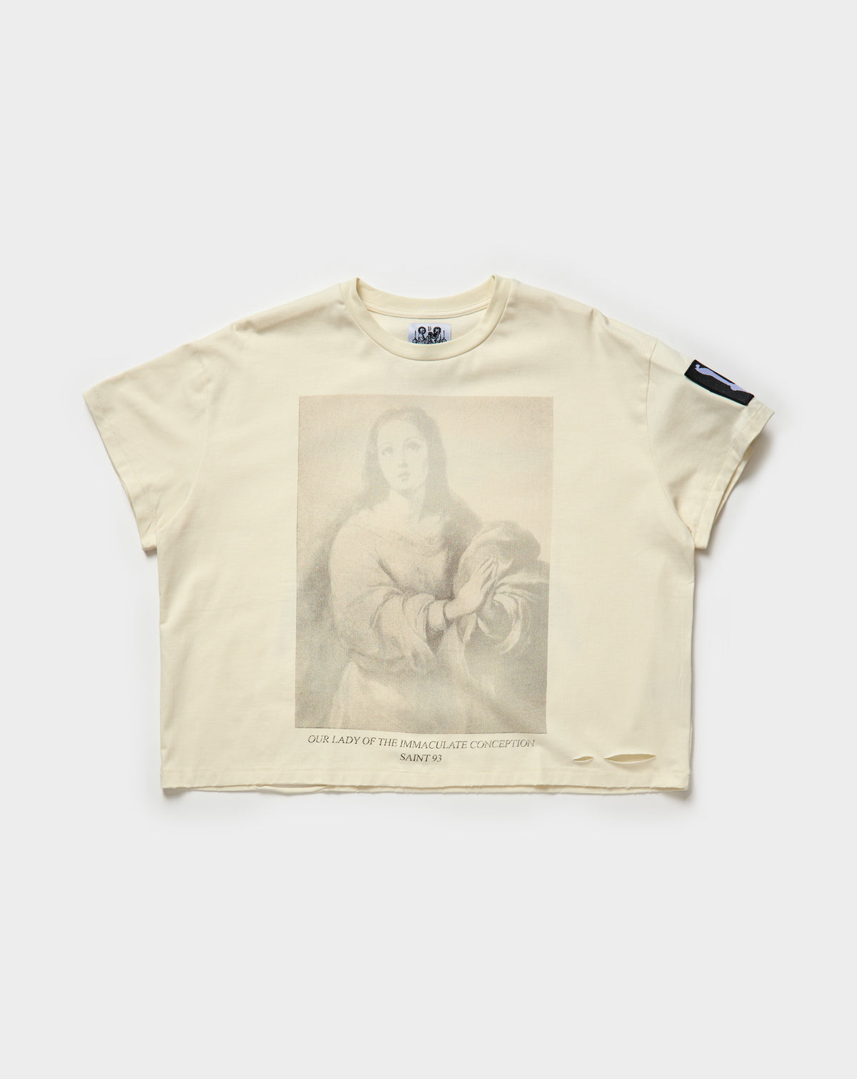 Immaculate Conception T-Shirt