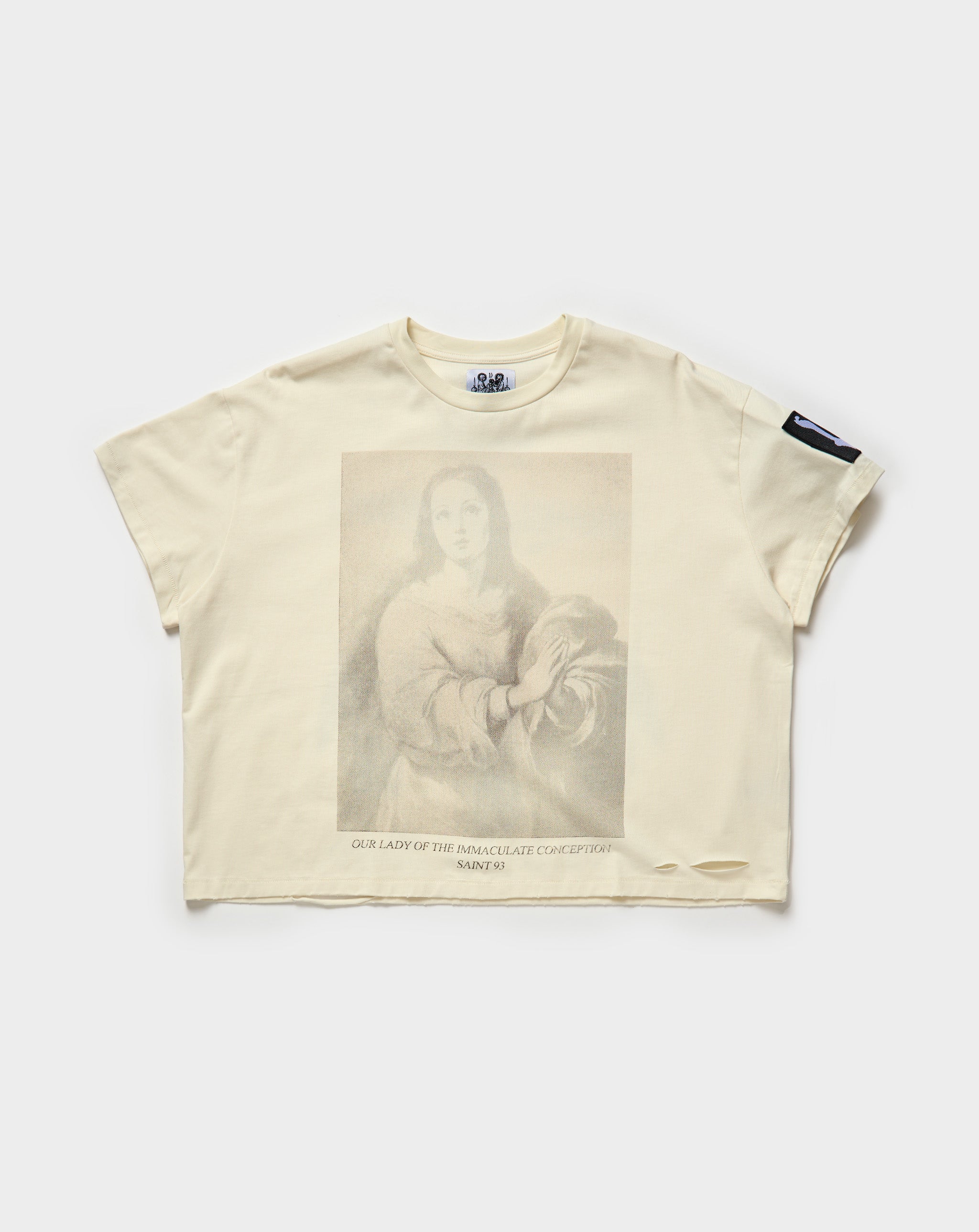 Immaculate Conception T-Shirt