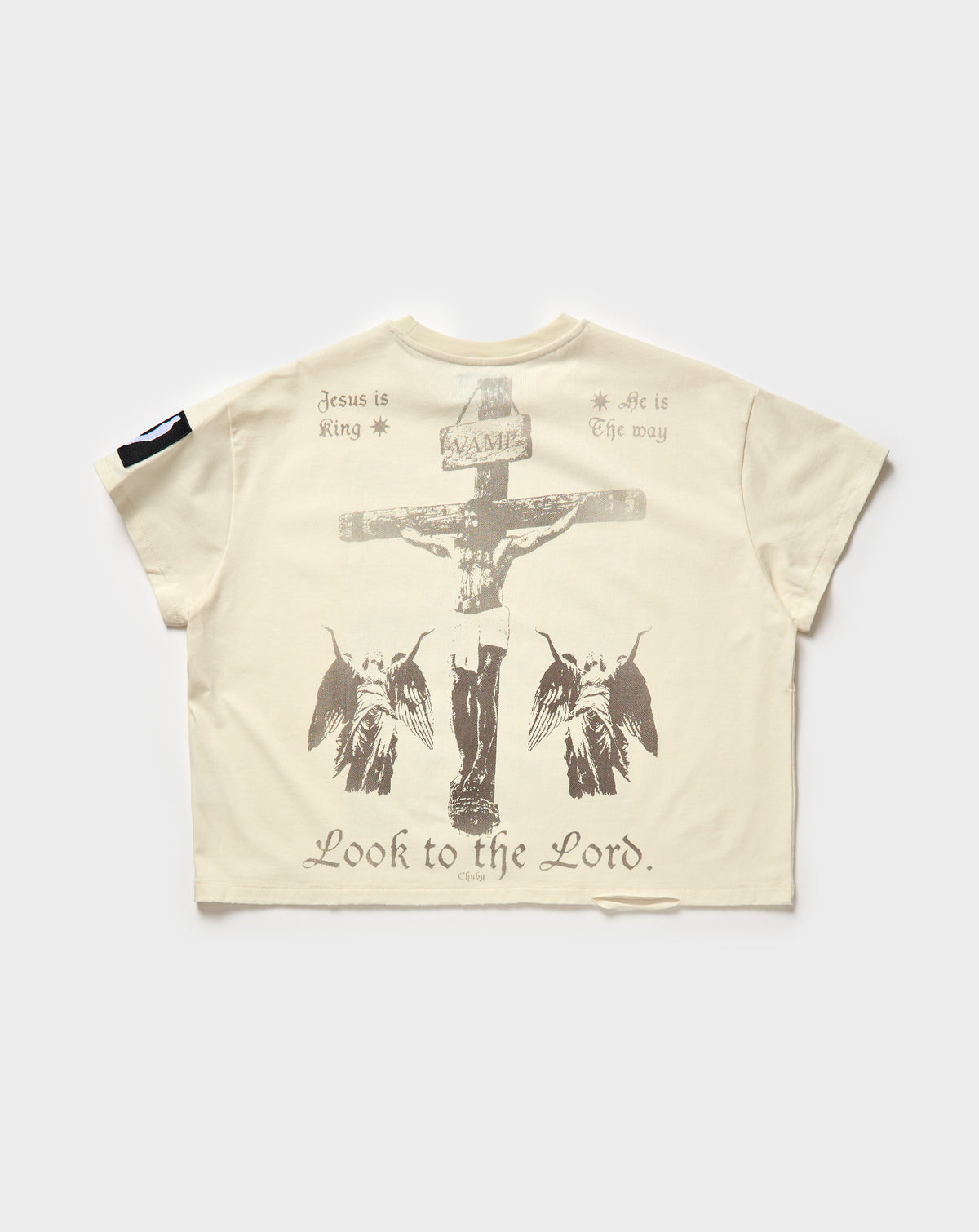 Immaculate Conception T-Shirt