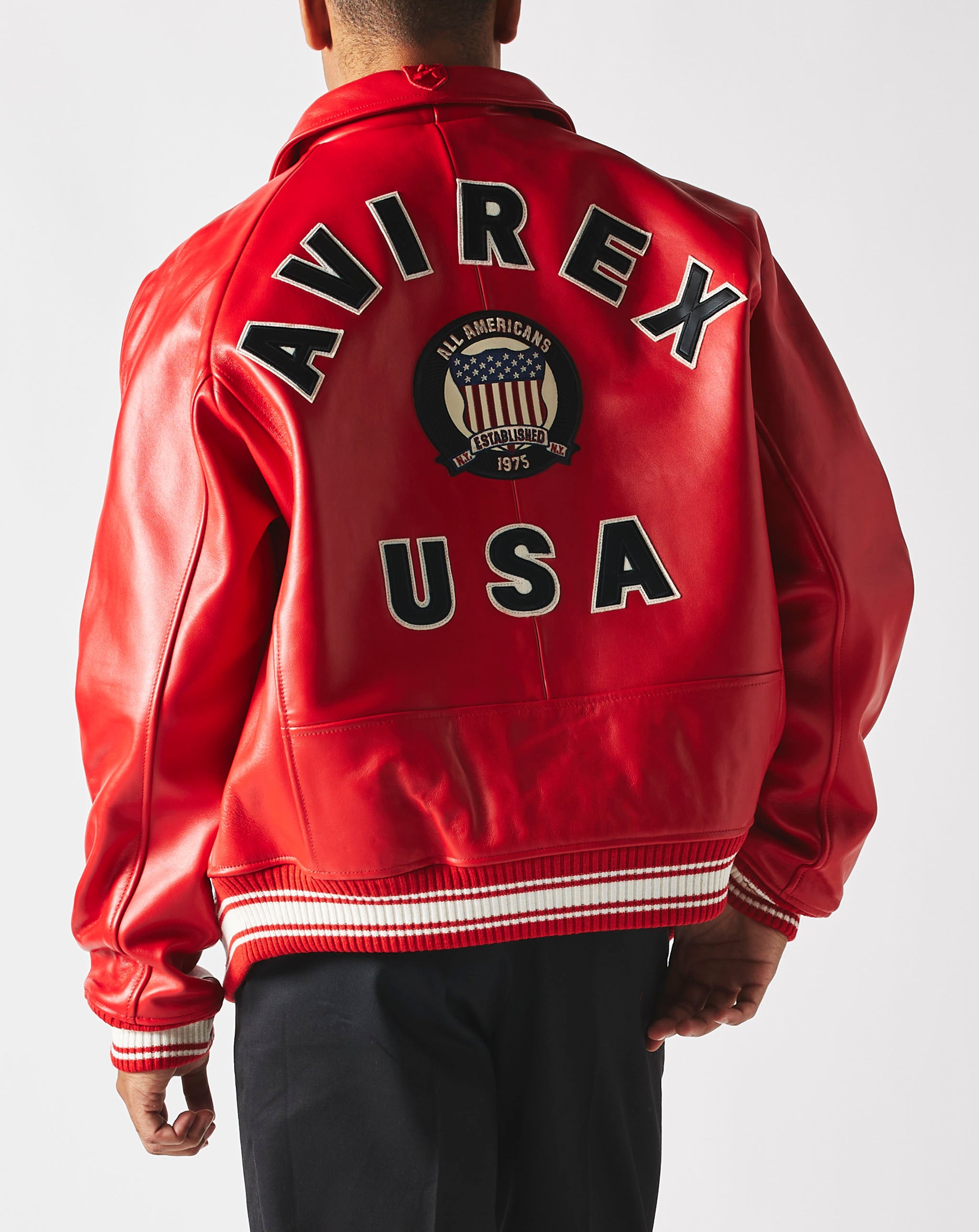 Avirex Hero Jacket - Rule of Next Apparel