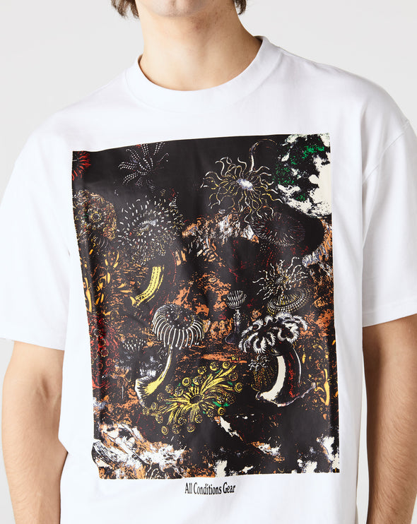 Nike ACG T-Shirt - Rule of Next Apparel