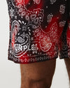 Purple Brand All Round Shorts - Rule of Next Apparel